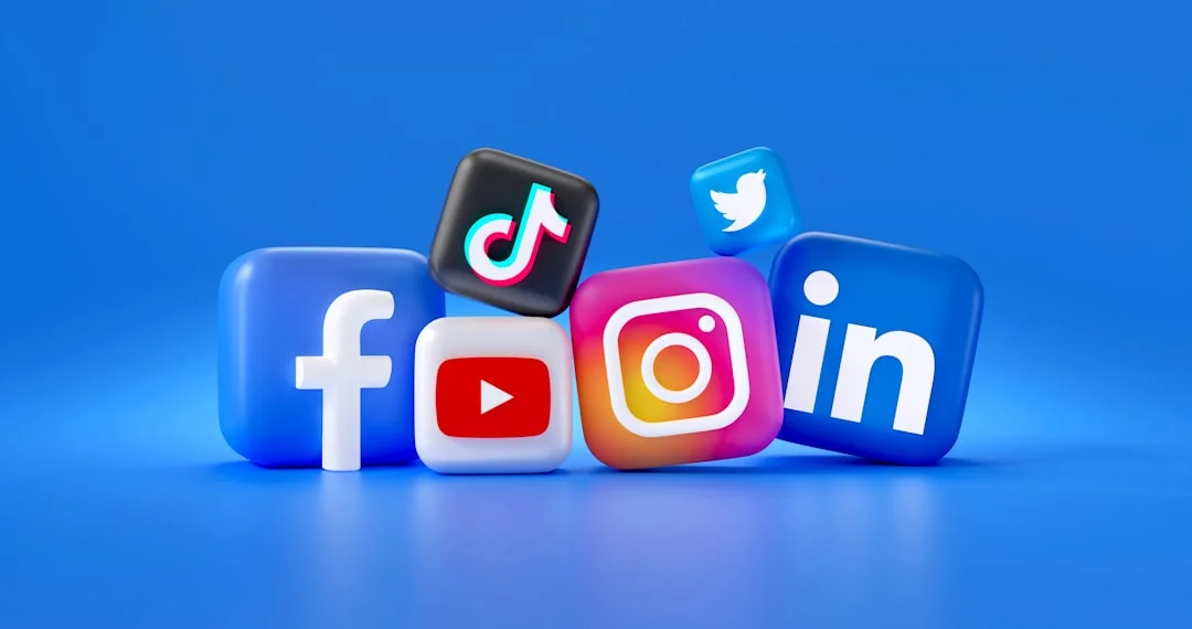 일본 SNS 채널 비교 인포그래픽
